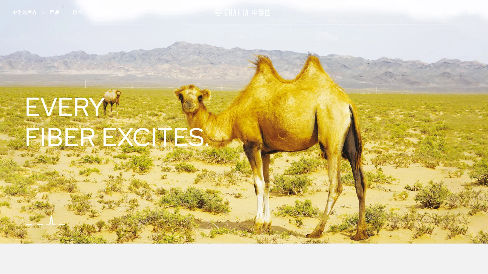 CHAFTA homepage