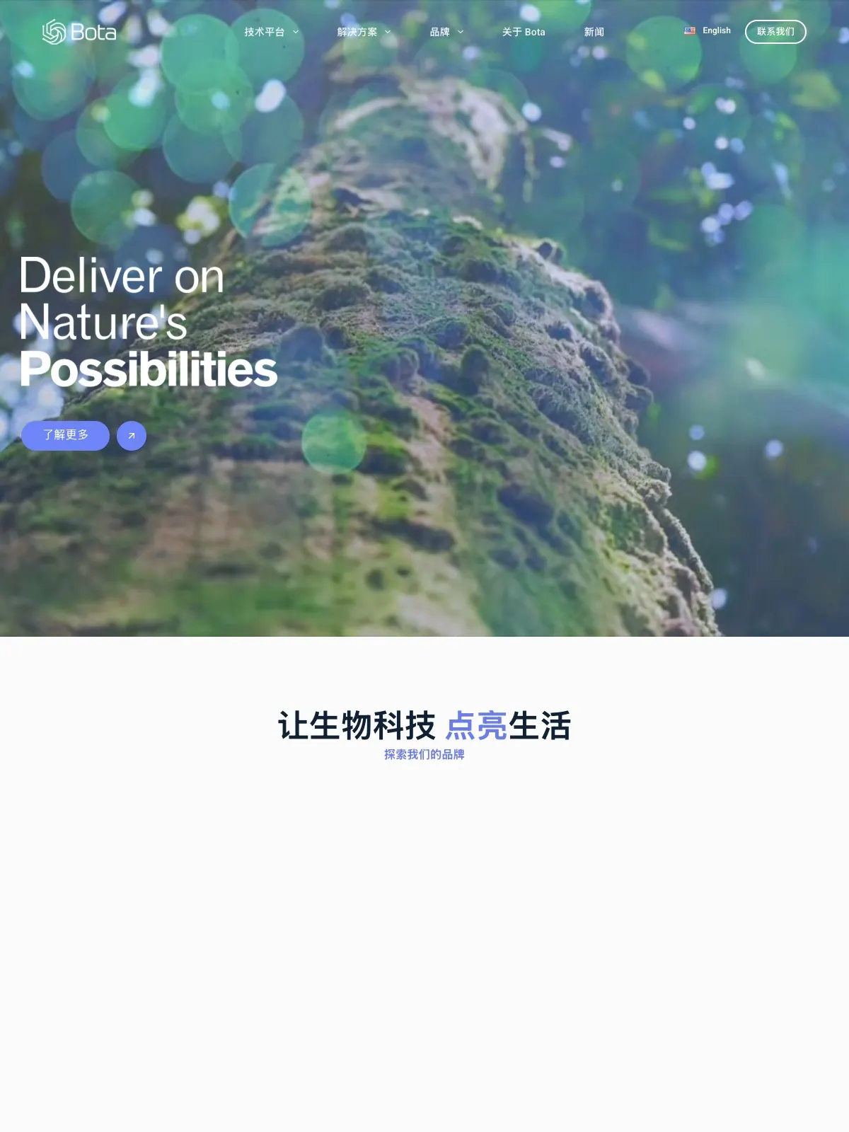 Bota 项目案例