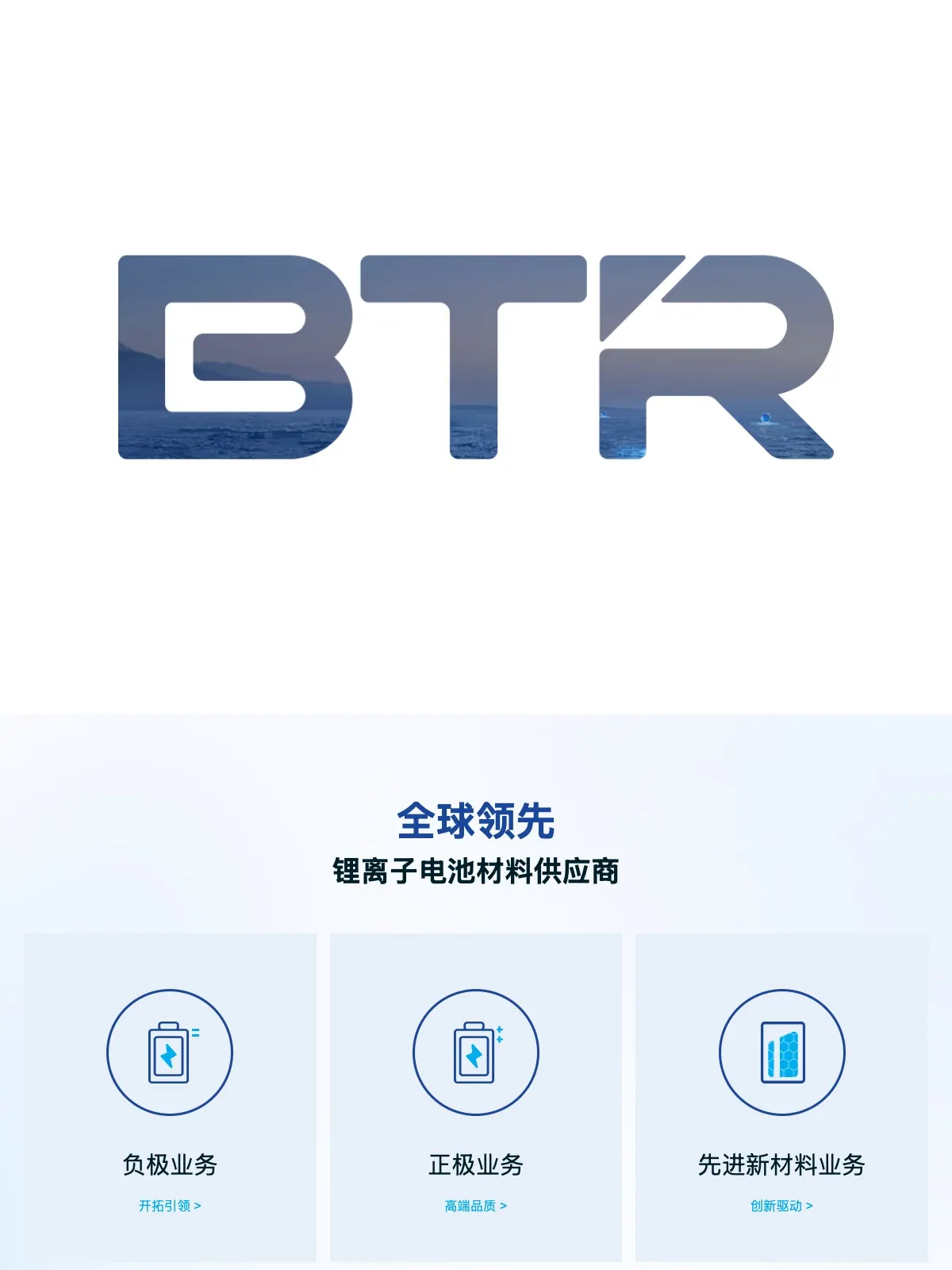 贝特瑞新能源材料 项目案例