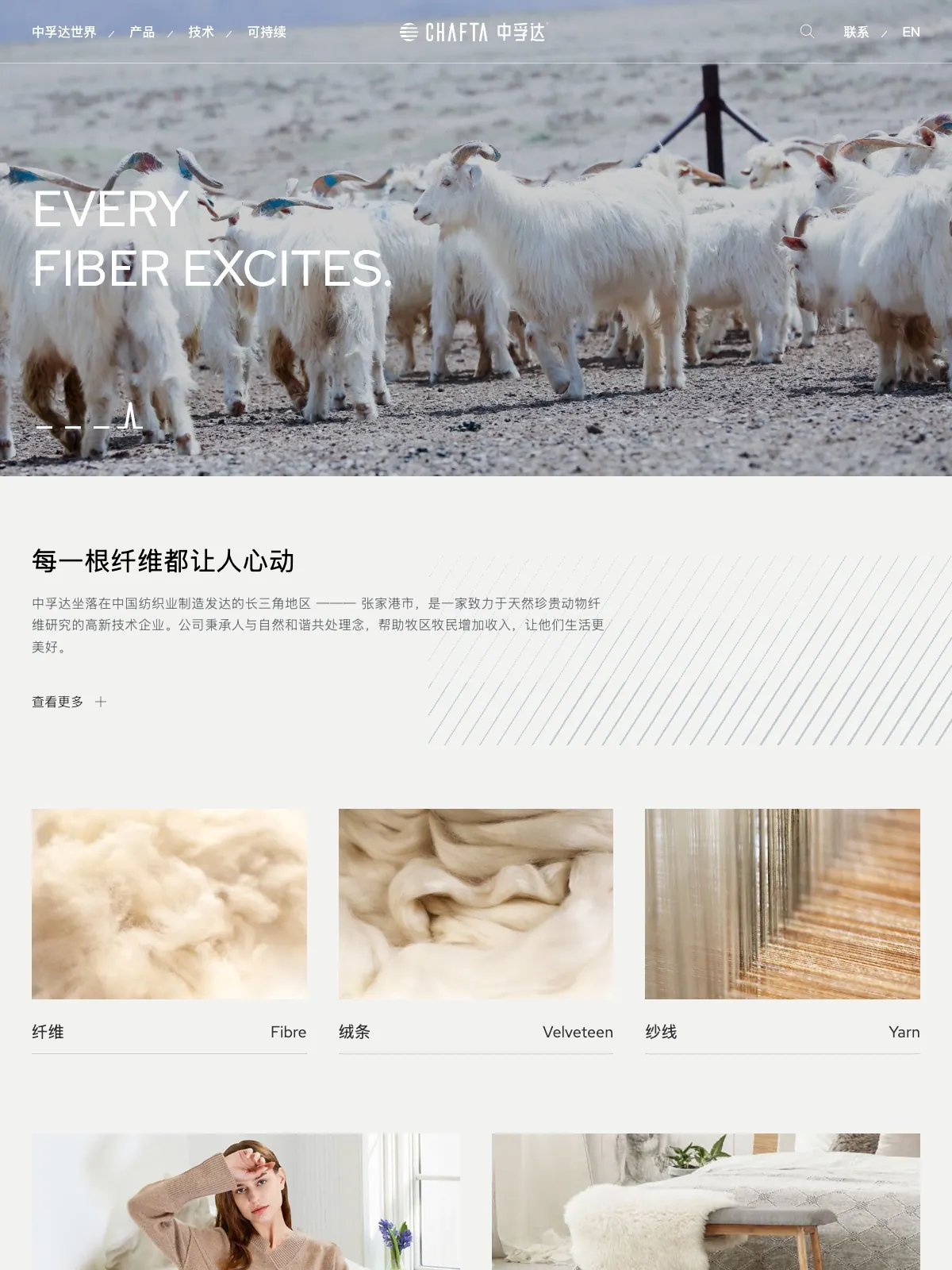 CHAFTA 项目案例