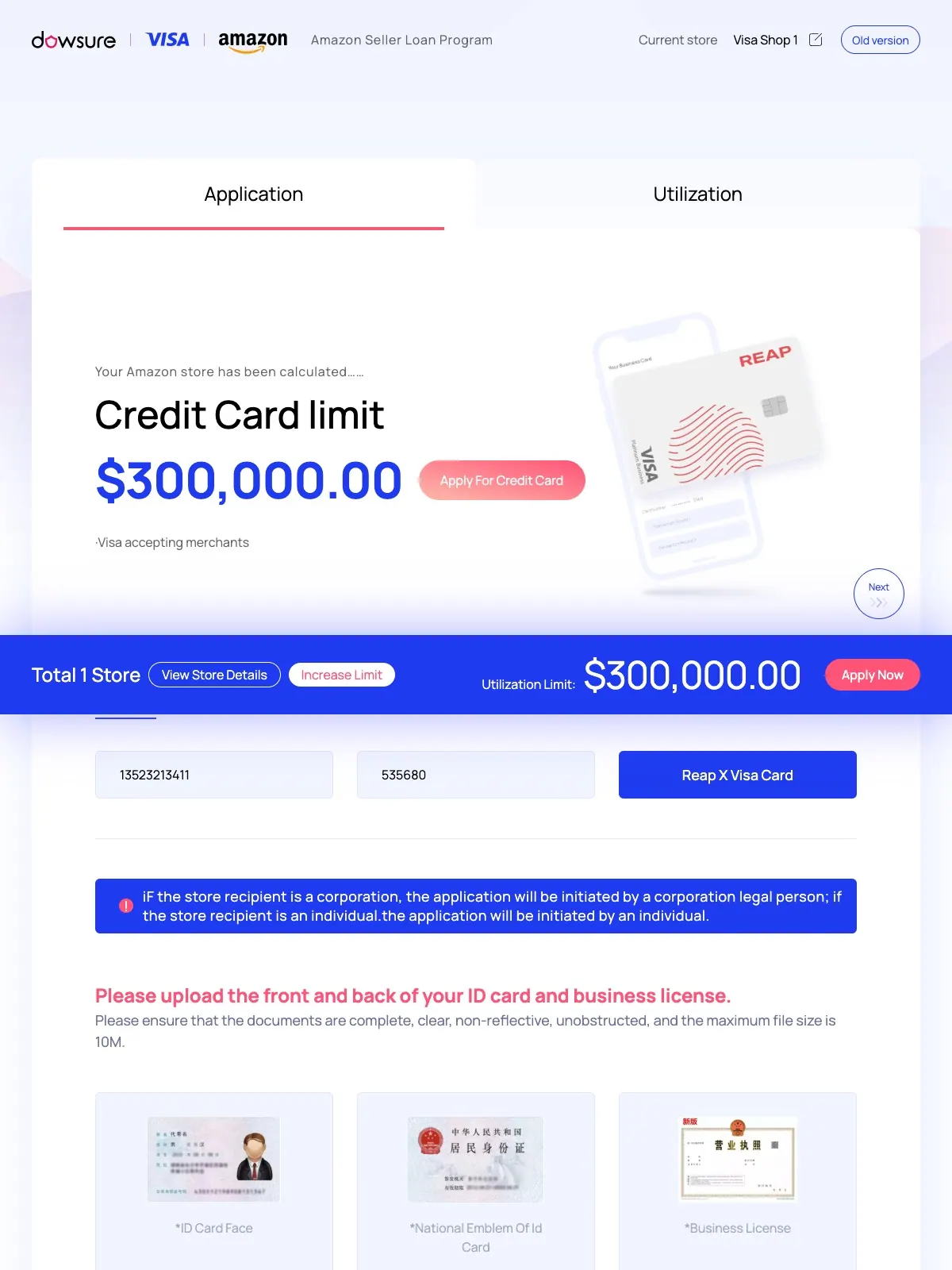 Dowsure x visa 项目案例