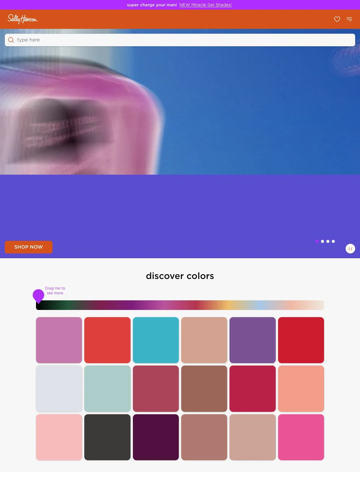 Sally Hansen 项目案例