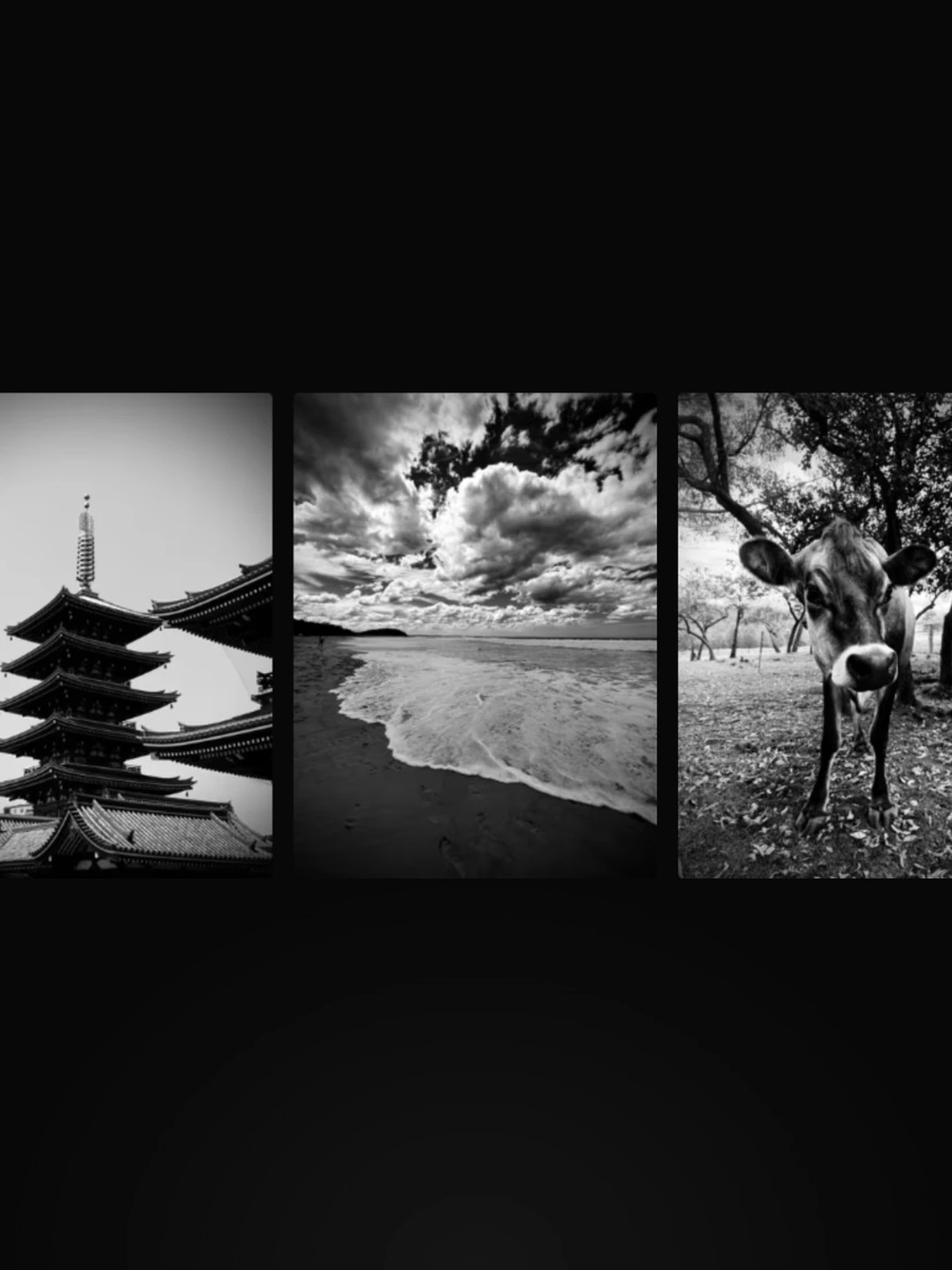 Shot on iPhone 项目案例