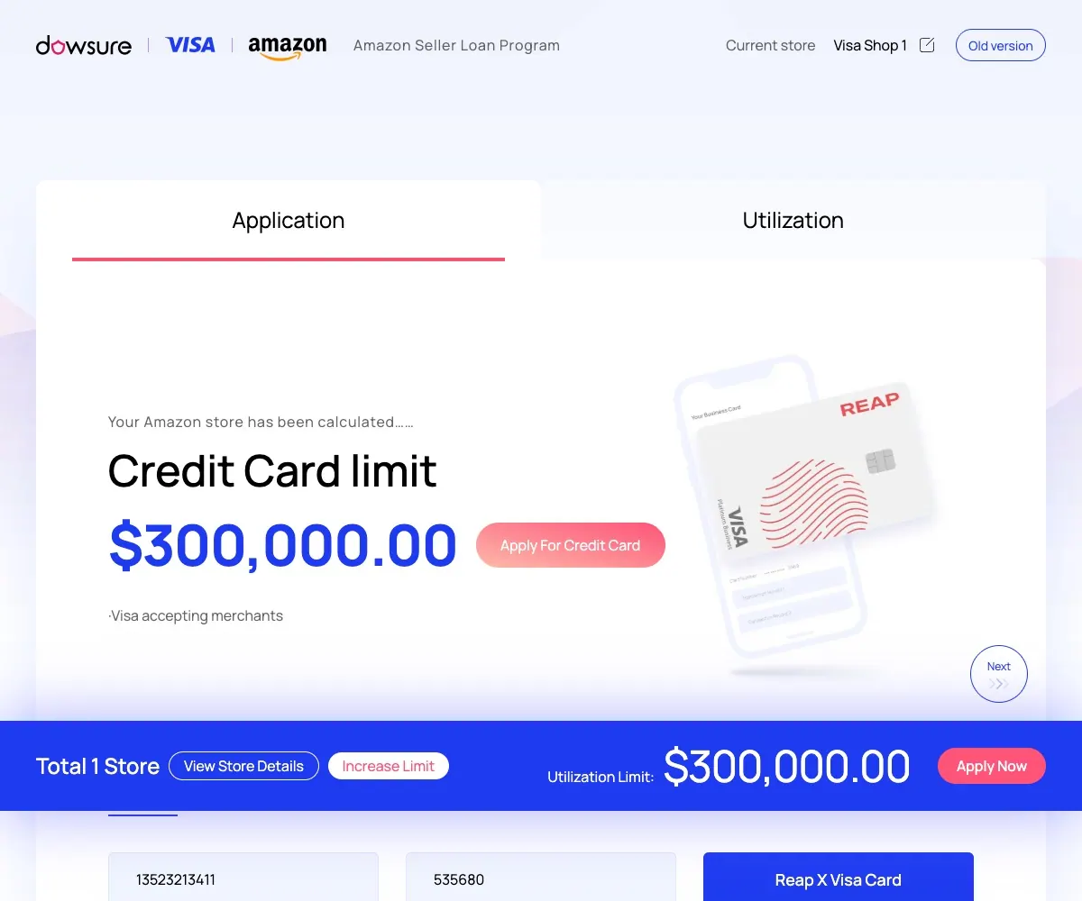 Dowsure x visa 首页预览